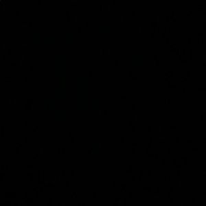 Meet your Posher, Hayley